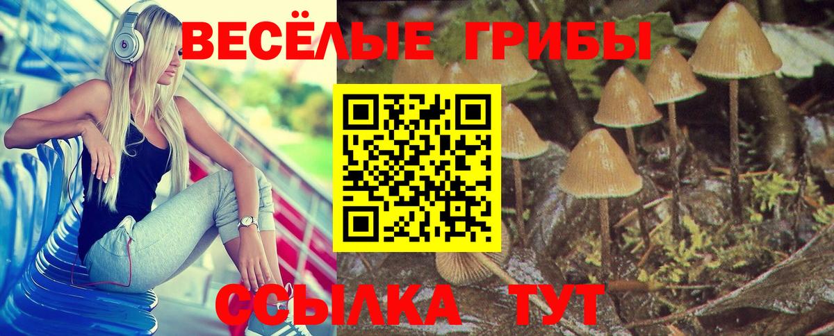 Гай  Галлюциногенные грибы Magic Shrooms  Вход с VPN 